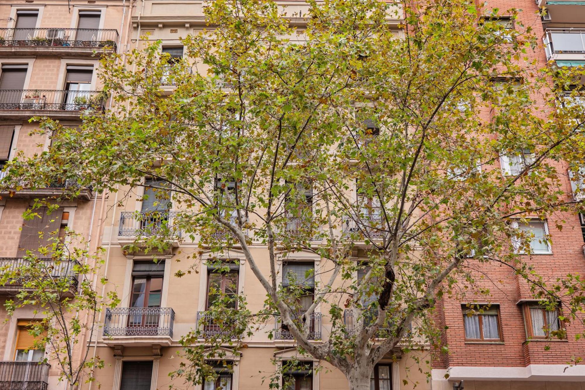 Sweett - Urgell Eixample Apartment Barcelona Luaran gambar